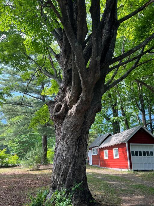 Schoolhouse No. 11 * Hudson Valley Upstate Getaway Stone Ridge Extérieur photo